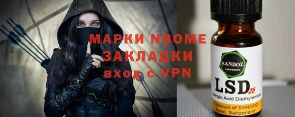 стафф Алексин