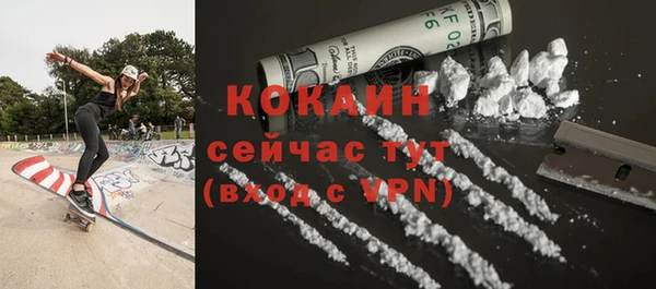 стафф Алексин