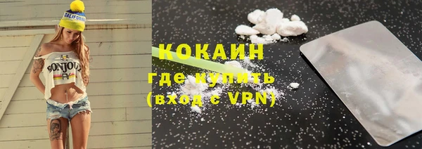 прущие грибы Абаза