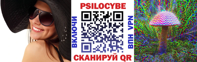 Псилоцибиновые грибы Psilocybine cubensis  omg рабочий сайт  Кувшиново 